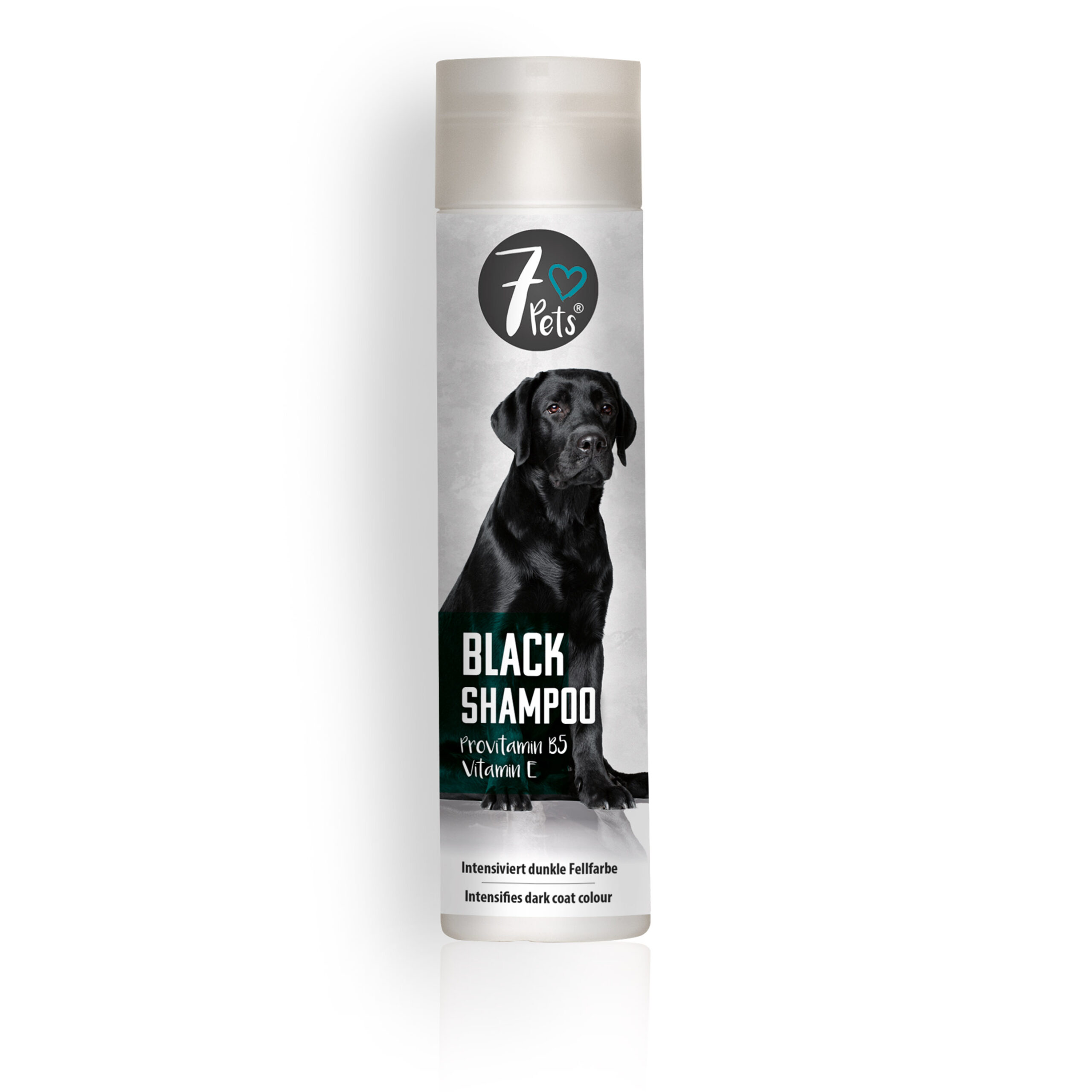 Hundeshampoo Black Shampoo 250 ml