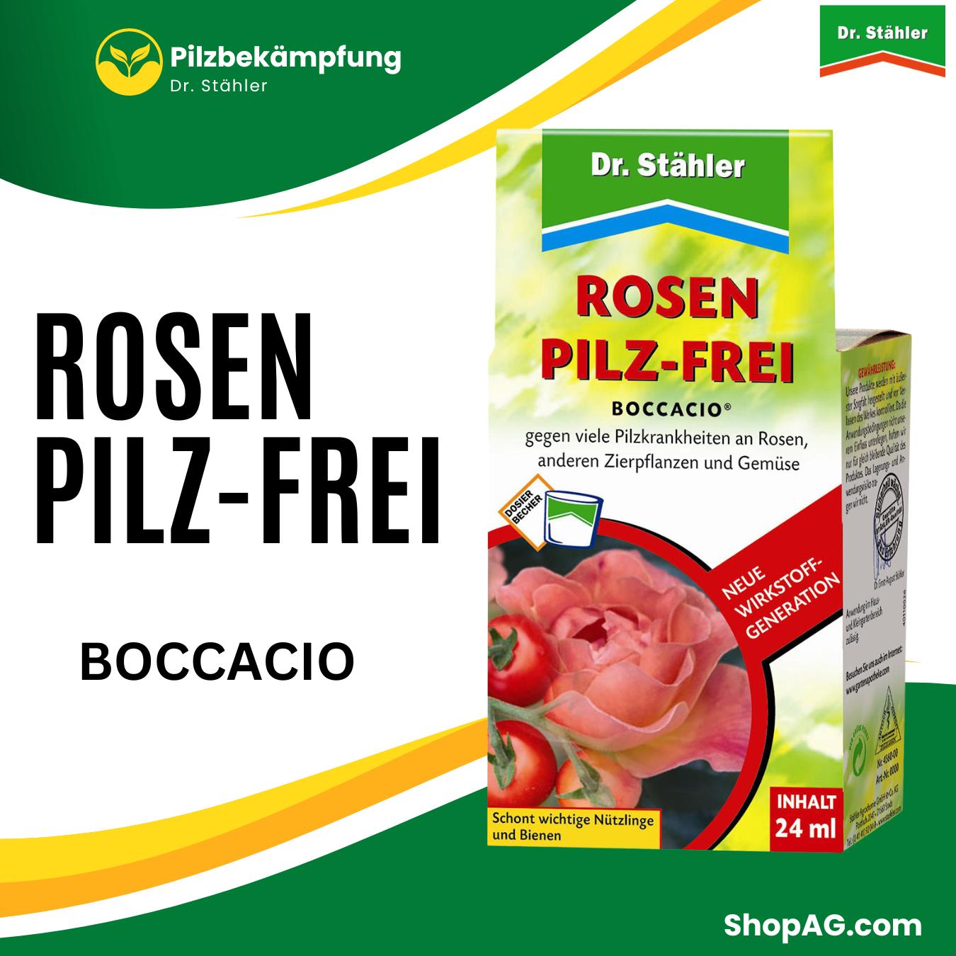 Rosen Pilz-Frei Boccacio 24 ml